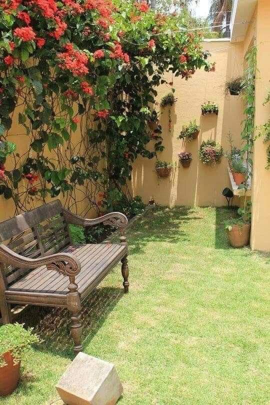 Home Outdoor Gardening Solutions Chennai image 3