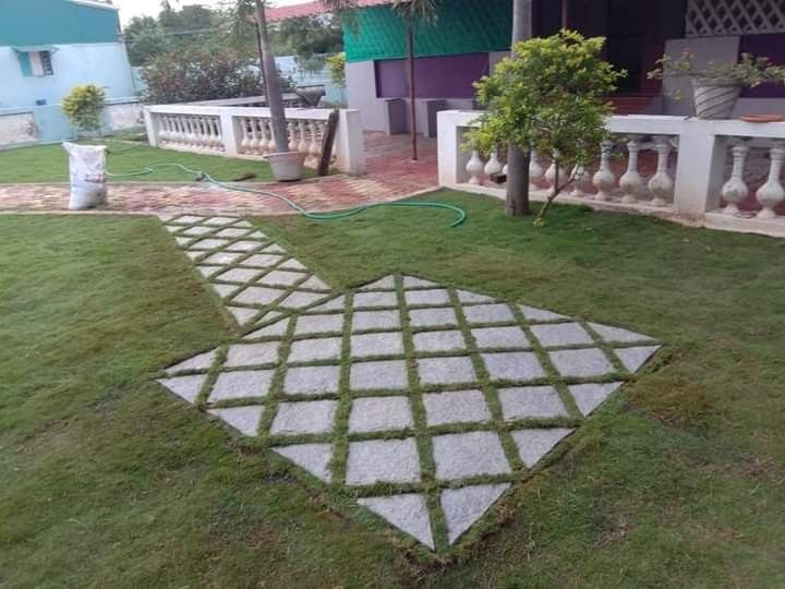 Frontyard Garden Setup Services Chennai image 5