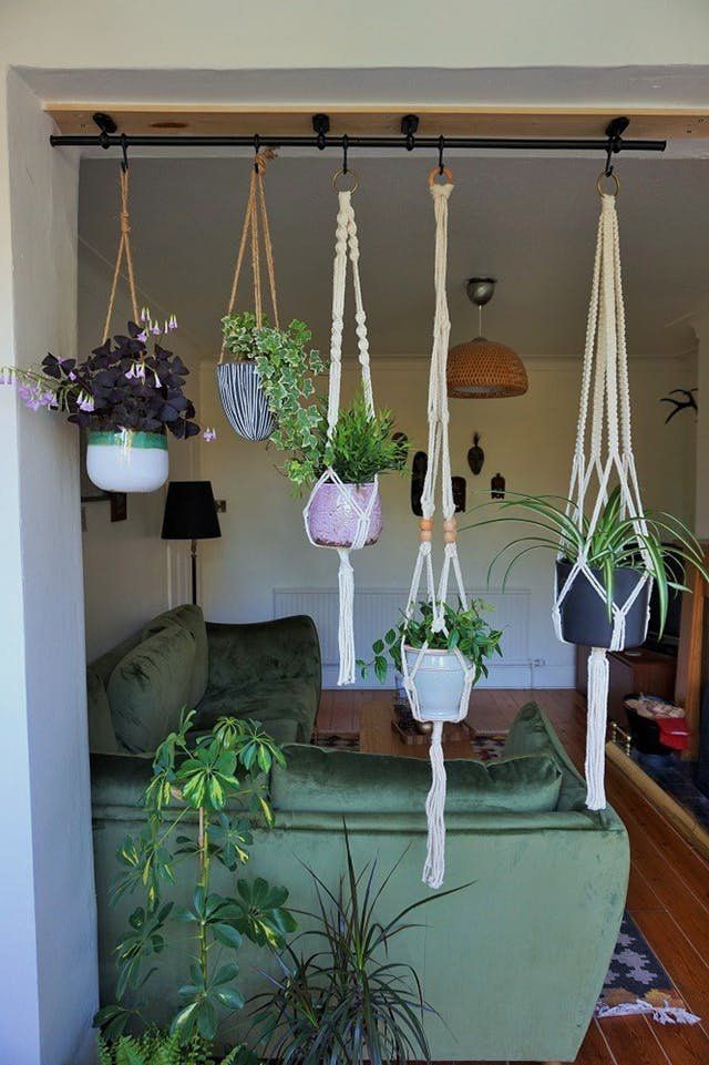 Indoor Gardening Consultancy Chennai image 5