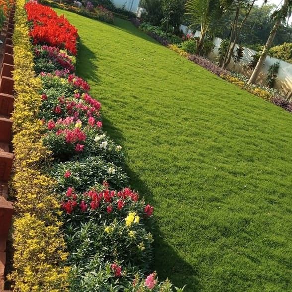 Lawn Care and Garden Landscaping Contractors in Chennai image 5