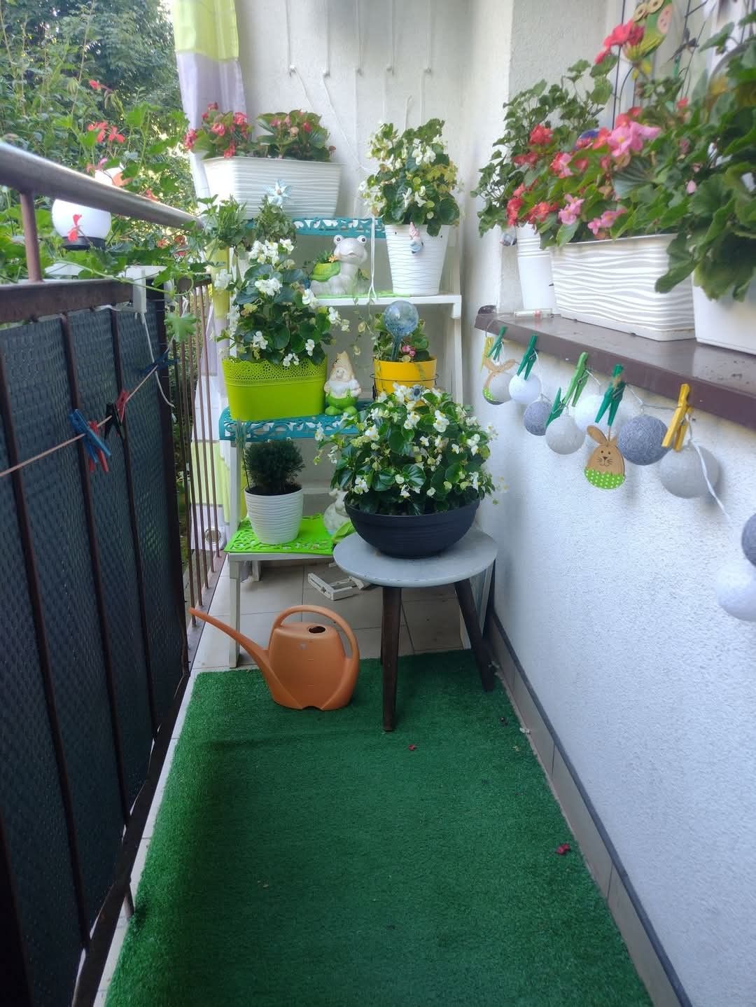Budget-Friendly Balcony Gardening Service in Chennai image 5