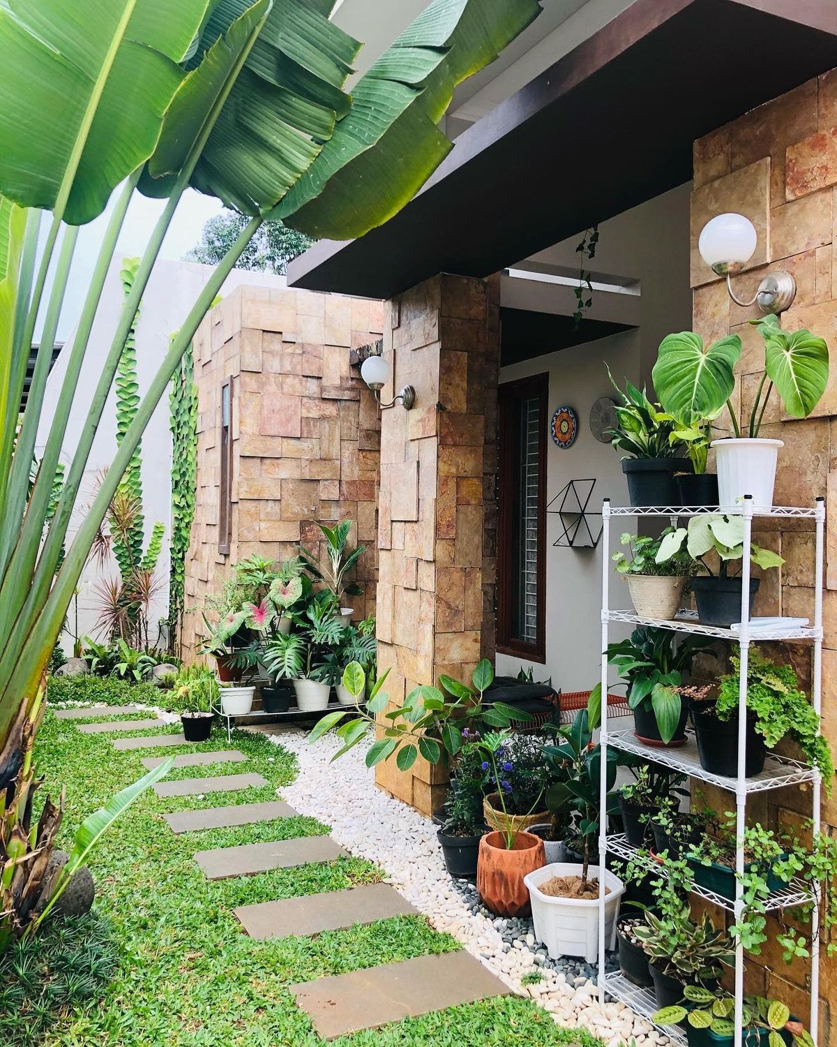 Outdoor Plant Supply & Setup Chennai image 3