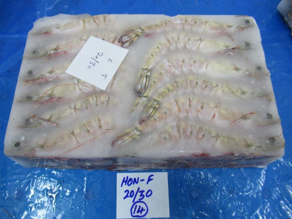 HEAD ON FLOWER SHRIMPS & PRAWNS (BLOCK) image 2