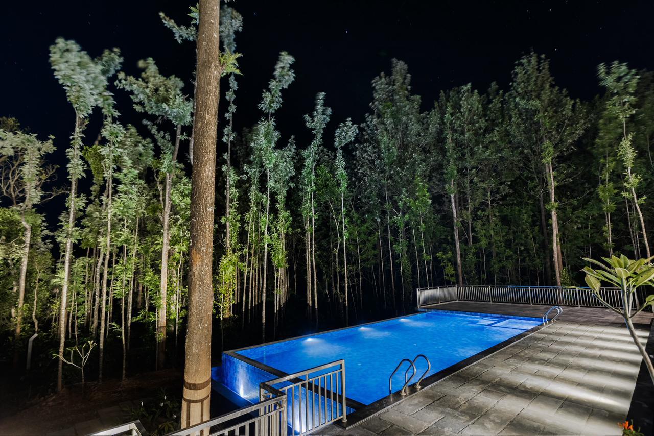 Residential Swimming Pool image 3