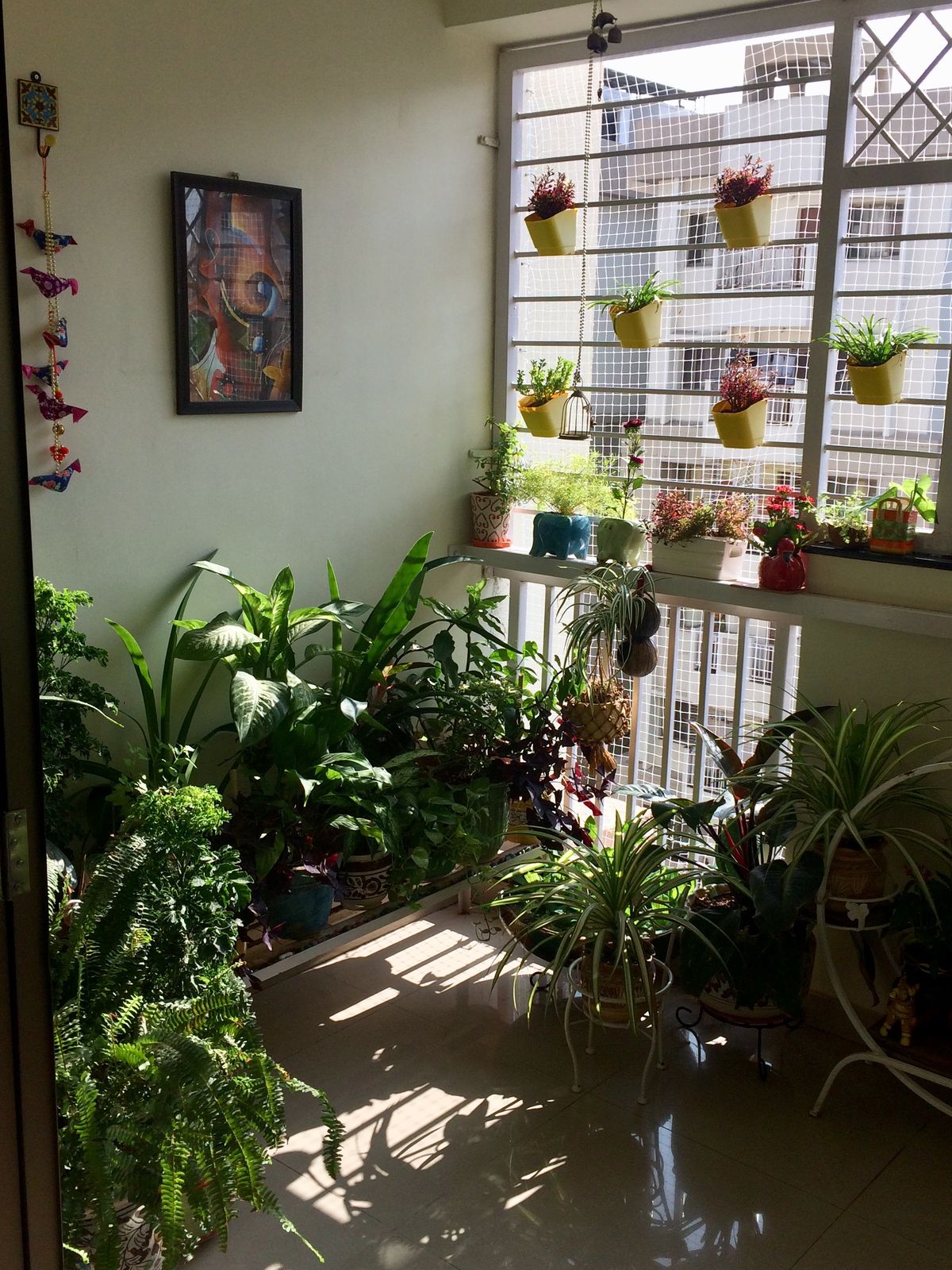 Indoor Plant Renovation Service Chennai image 2
