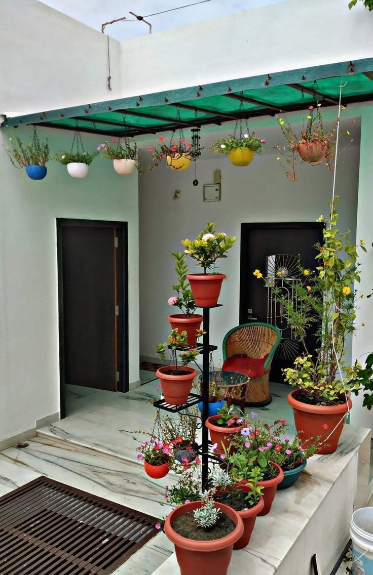 Complete Terrace Garden Solutions for Chennai Residences image 3