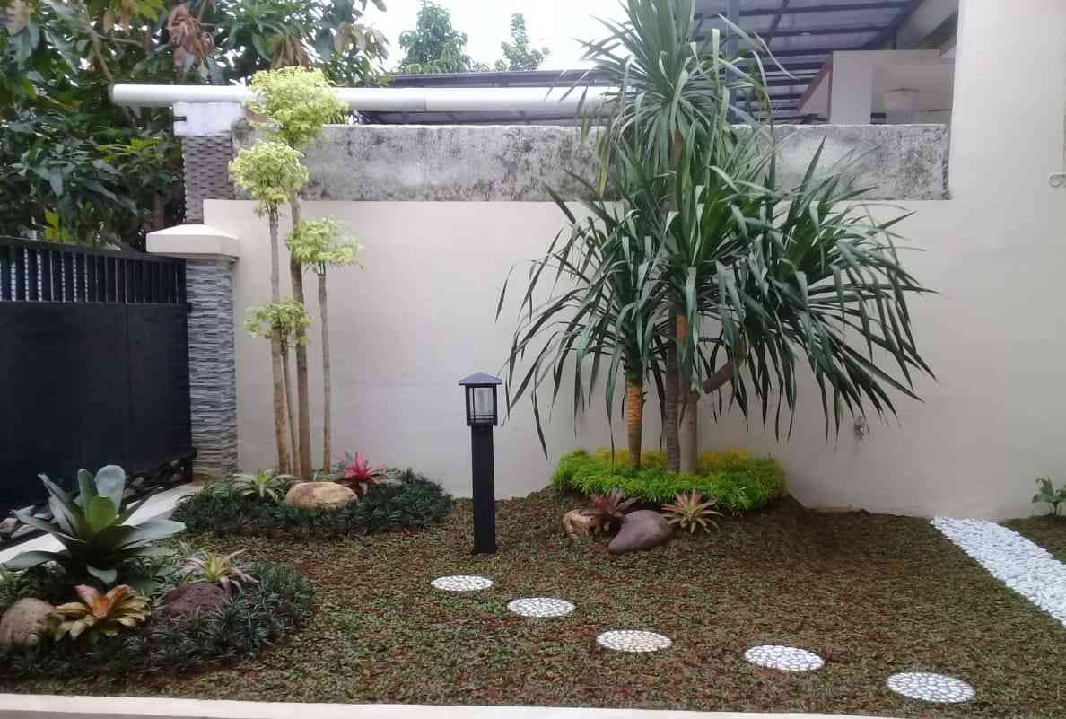 Best Frontyard Landscape Company in Chennai image 5