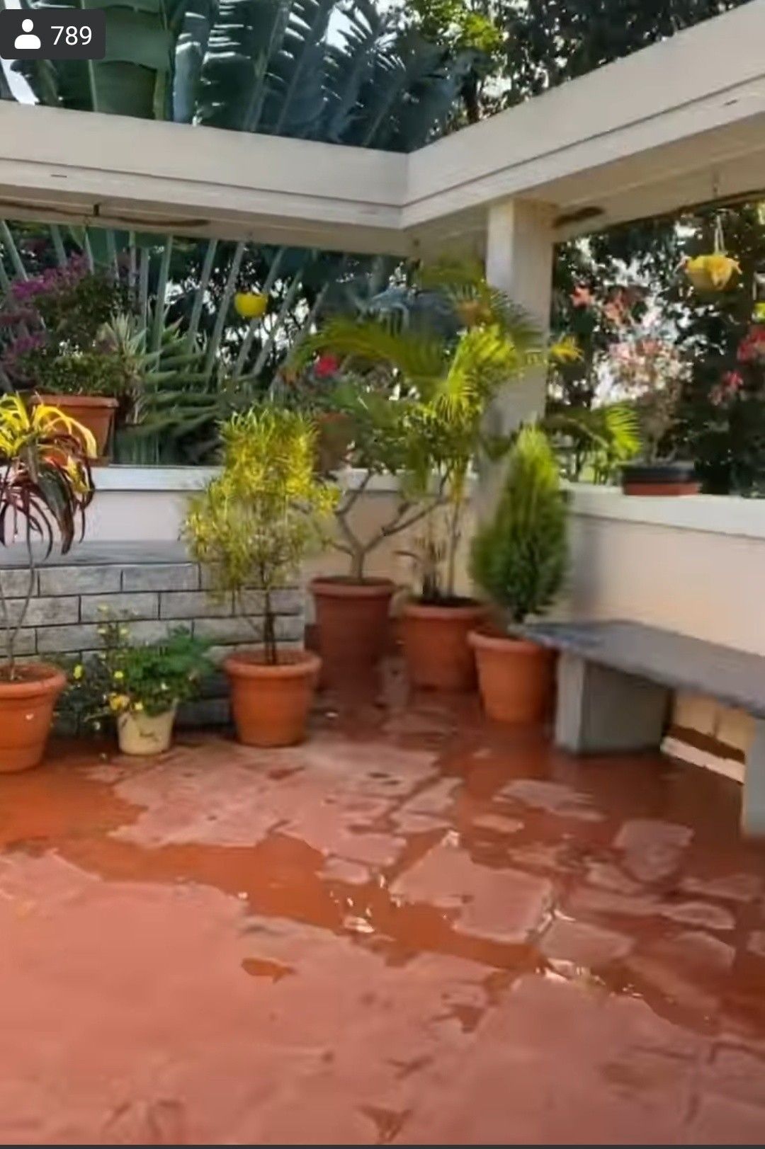 Customized Terrace Gardening Service in Chennai image 9