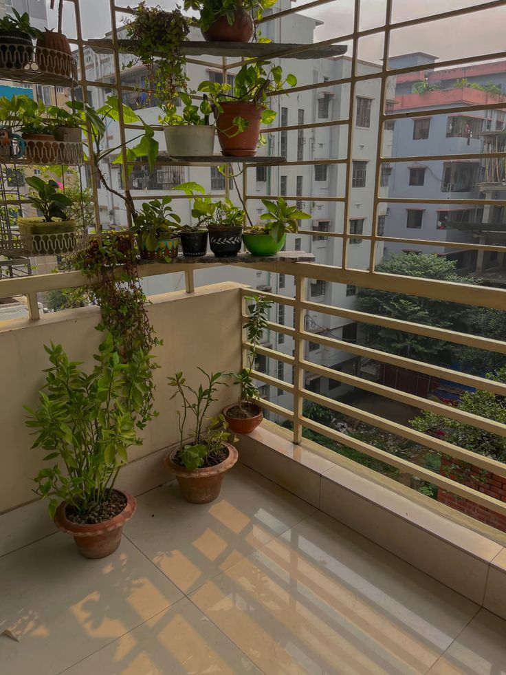 Affordable Balcony Gardening Contractors in Chennai image 4