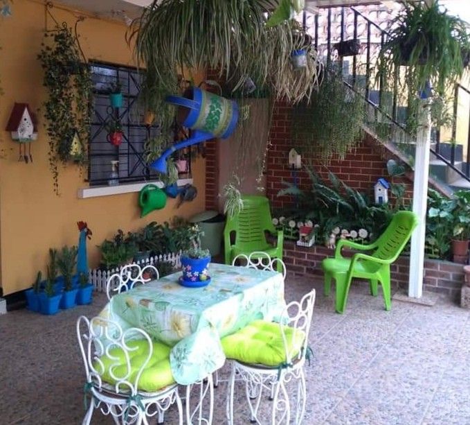 Full Terrace Garden Makeover Service in Chennai image 3
