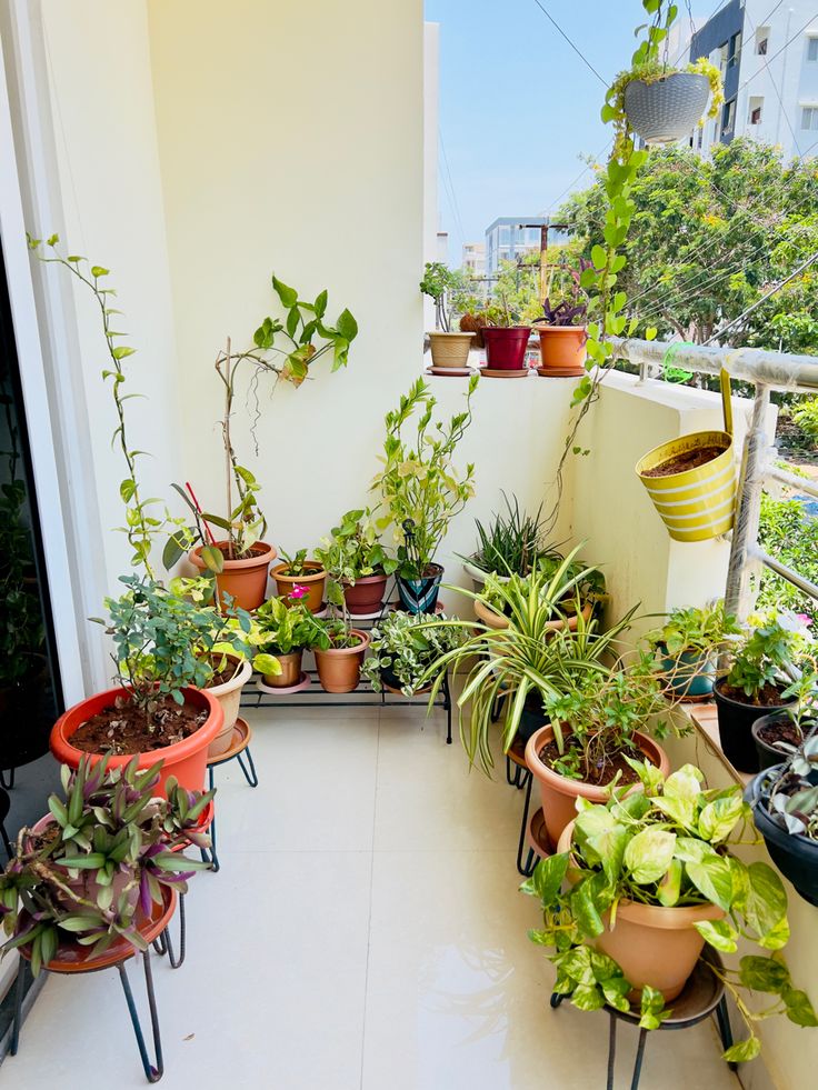 Expert Balcony Gardening Company in Chennai image 3