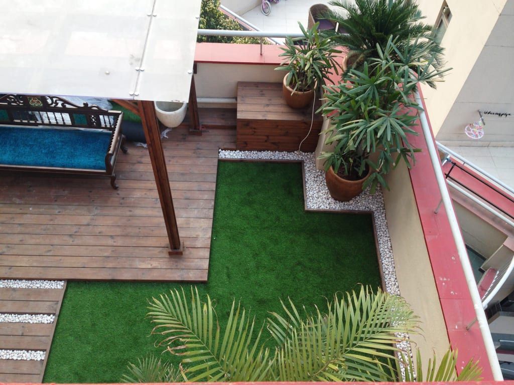 Complete Terrace Greenery Enhancement Service in Chennai image 4