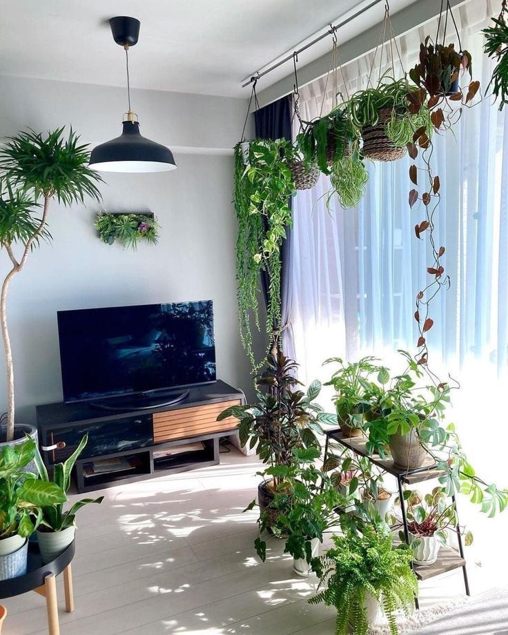 Indoor Garden Maintenance Chennai image 5