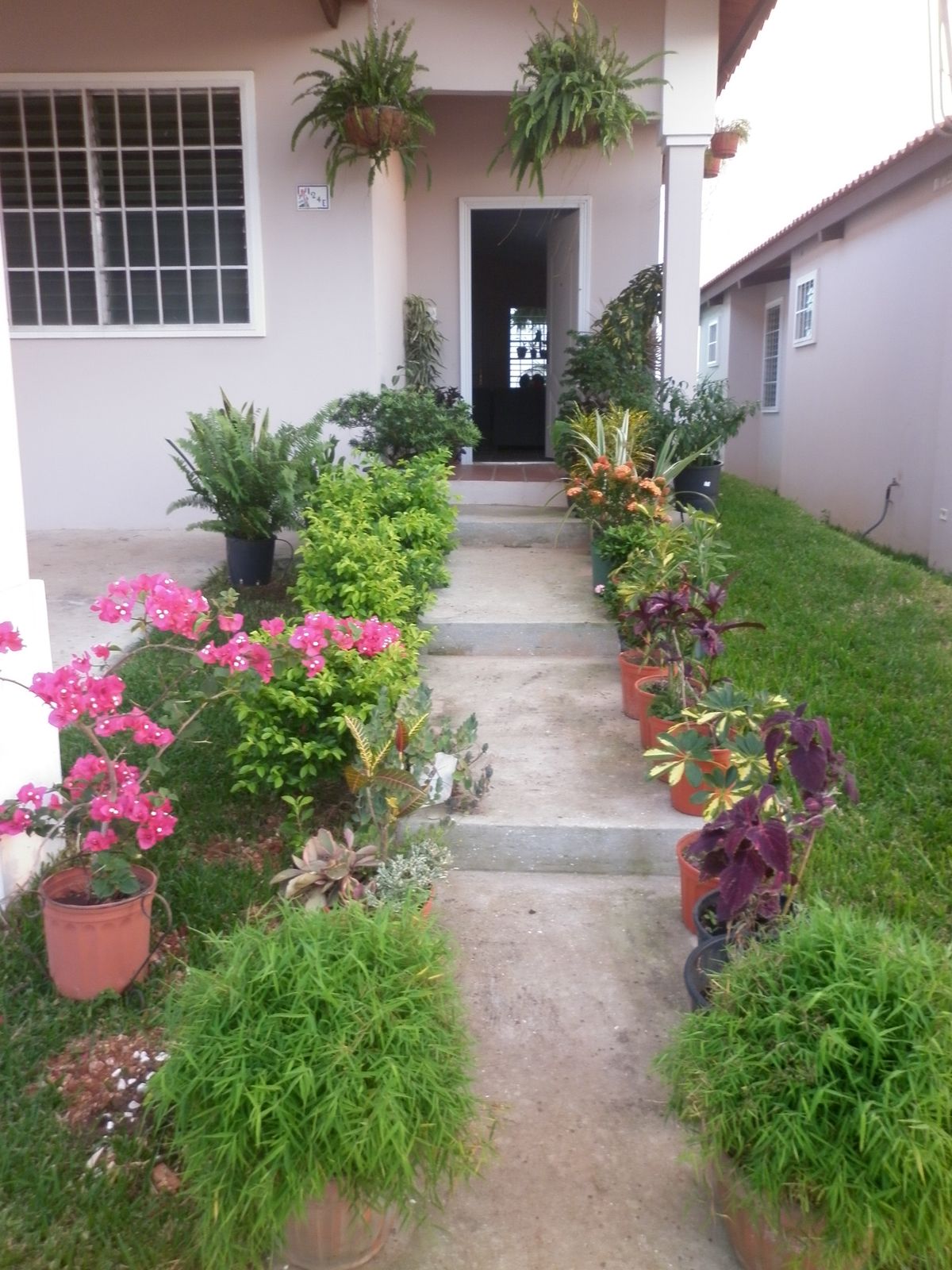 Outdoor Garden Pest Control Solutions Chennai image 3