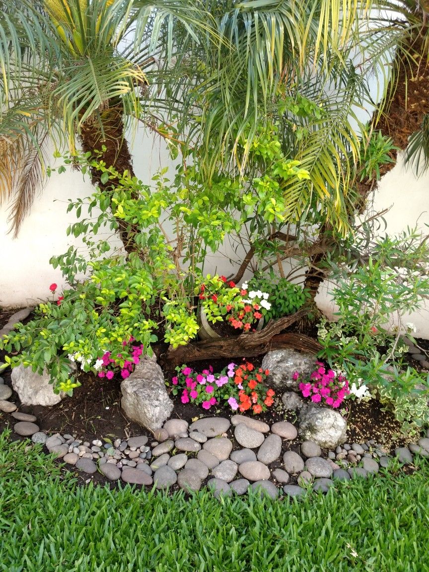 Outdoor Garden Improvement Services Chennai image 3