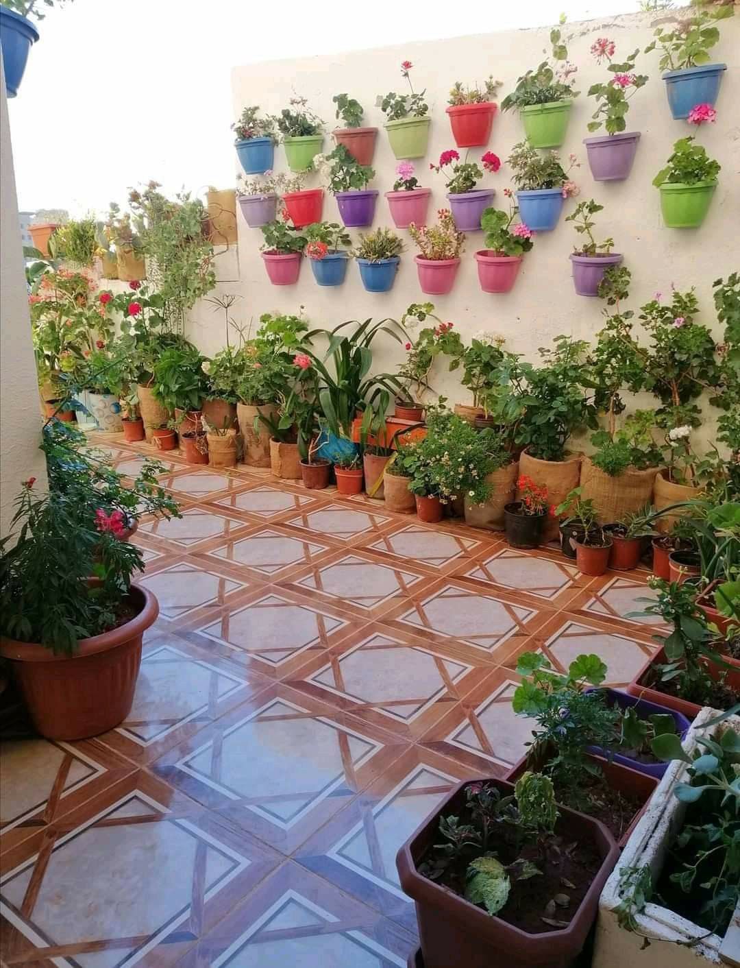 Complete Terrace Garden Solutions for Chennai Residences image 2