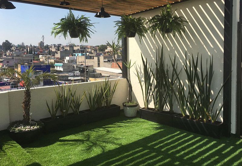 Complete Terrace Greenery Enhancement Service in Chennai image 5