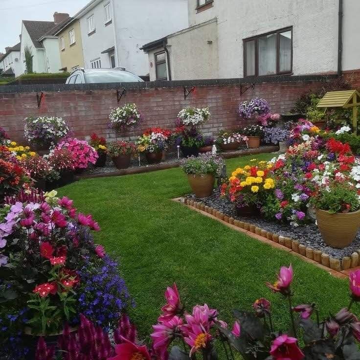 Professional Outdoor Gardening Experts Chennai image 2