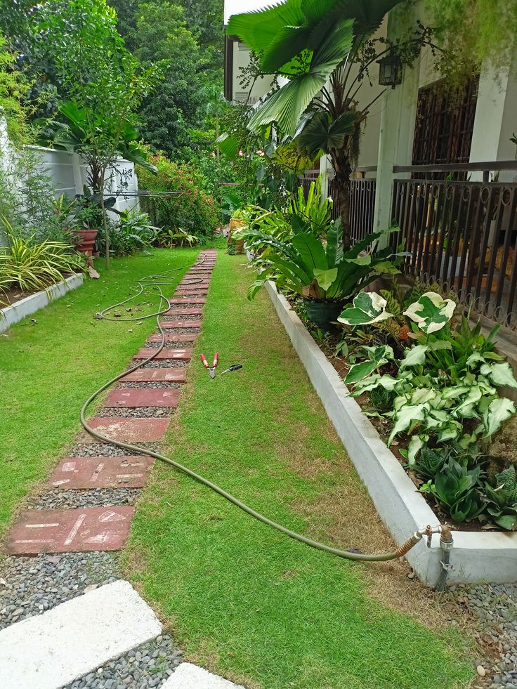 Outdoor Garden Cleanup & Restoration Chennai image 2
