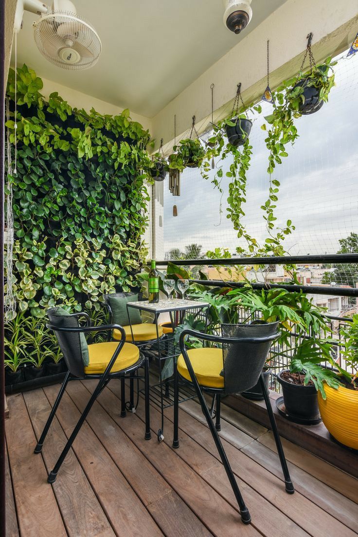 Terrace & Balcony Gardening Experts in Chennai image 4