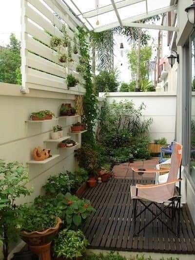 Outdoor Plants & Garden Makeover Service Chennai image 2