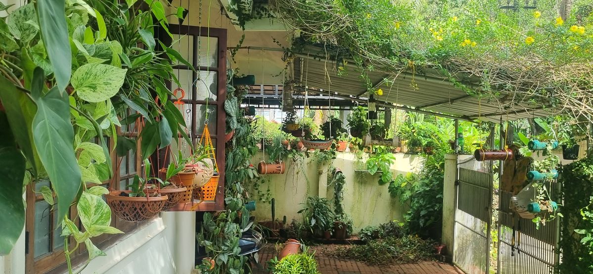 Chennai Terrace Garden Designers for Urban Homes image 4
