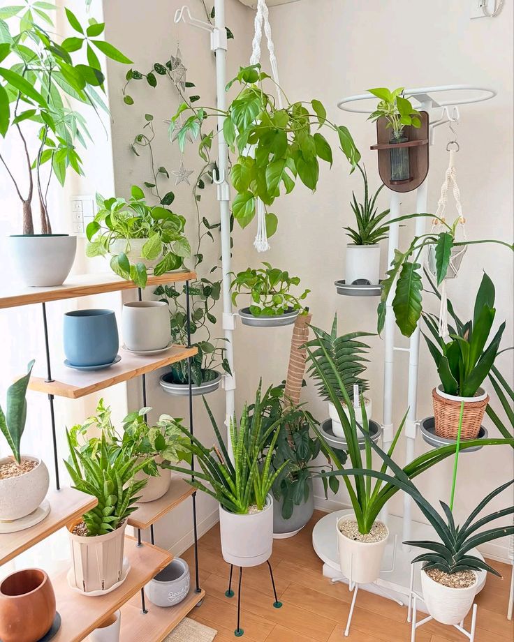Indoor Garden Decoration Service Chennai image 3