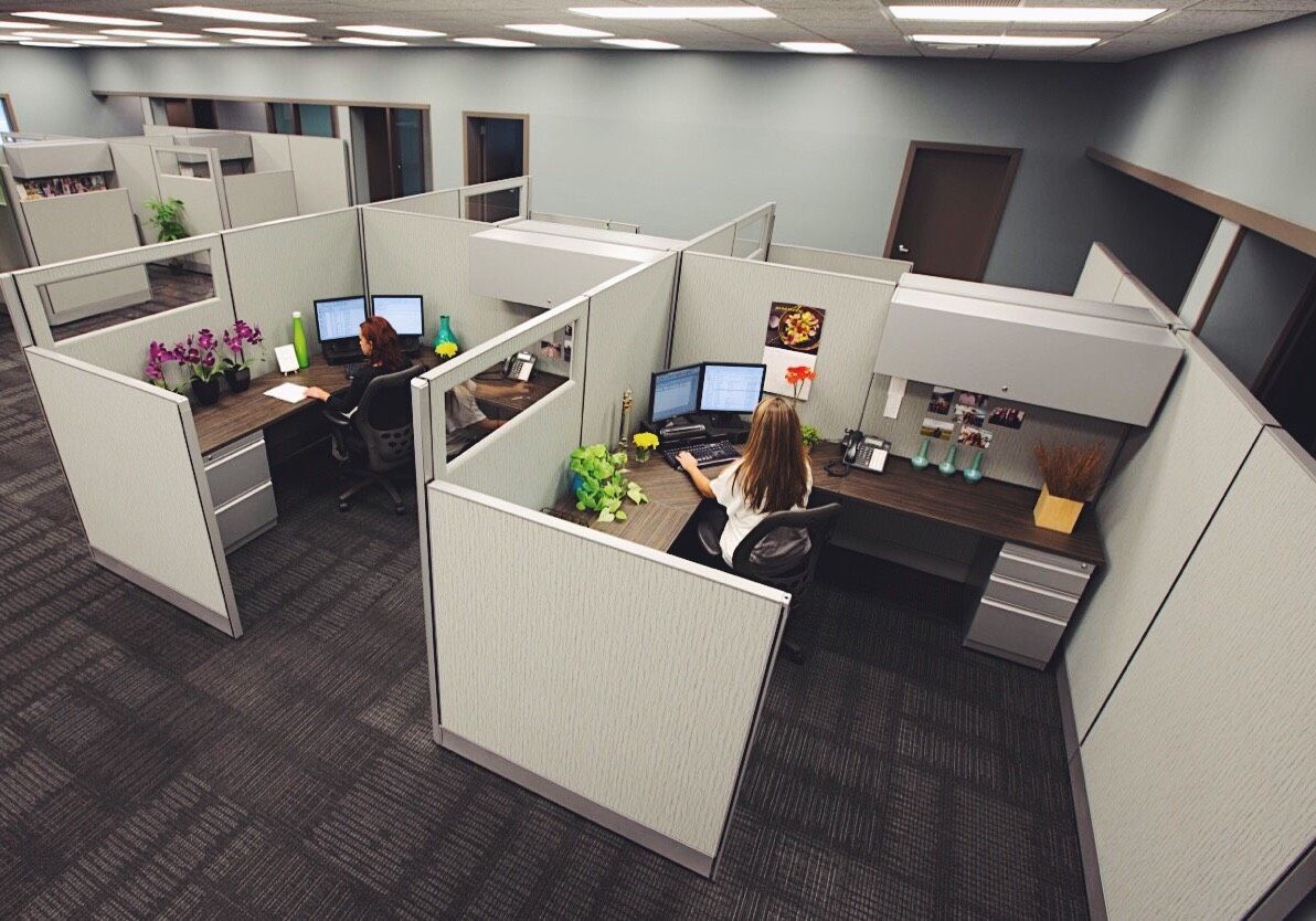 Fast & Reliable Gypsum Partition Installation Service image 2