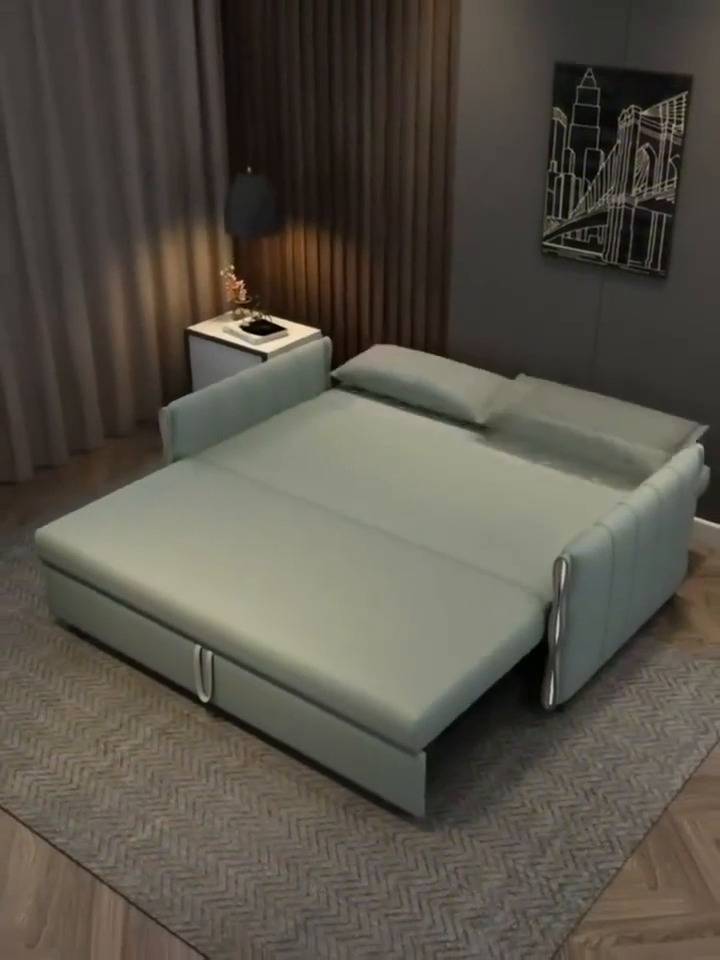 Sofa Cum Bed  image 6