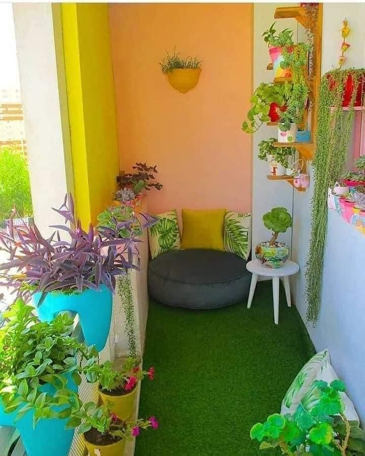 Chennai Balcony Garden Plants Supply & Setup image 4