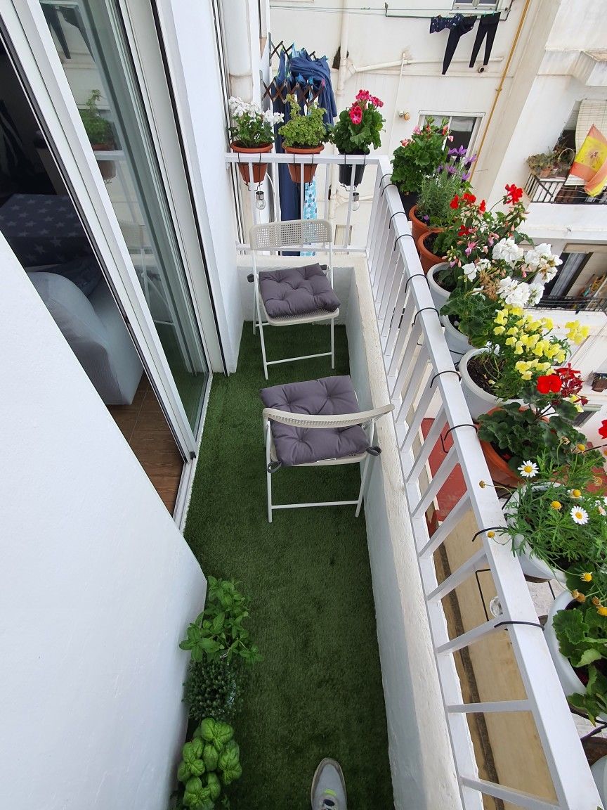 Professional Balcony Garden Maintenance in Chennai image 5