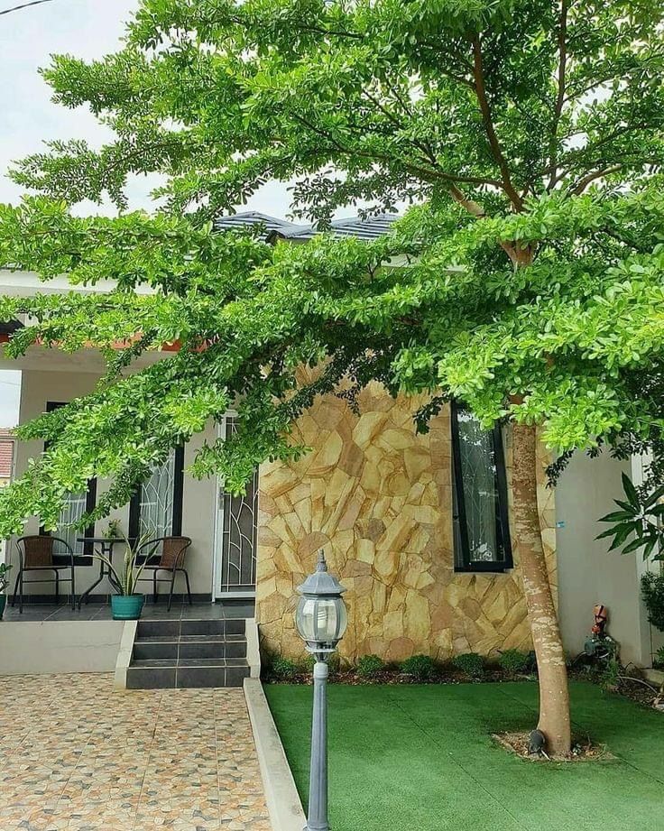 Affordable Frontyard Landscaping in Chennai image 2