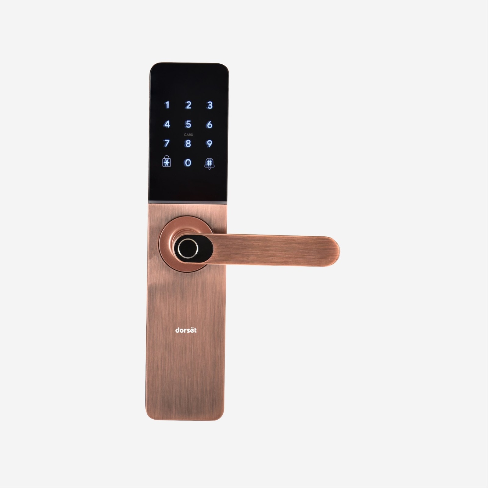Dorset DG 102 Door Lock – Intelligent Access Control System image 3