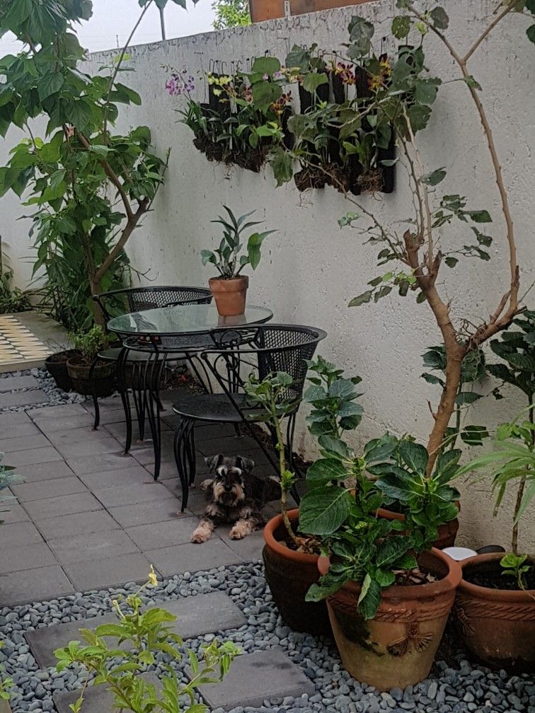 Outdoor Garden Renovation Service Chennai image 3