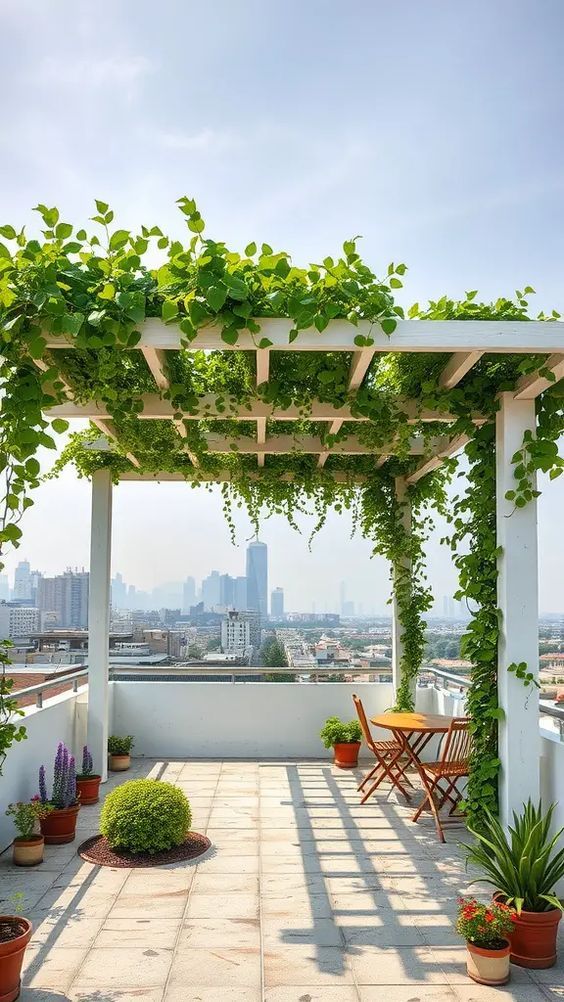 Roof Garden Installation & Maintenance in Chennai image 2