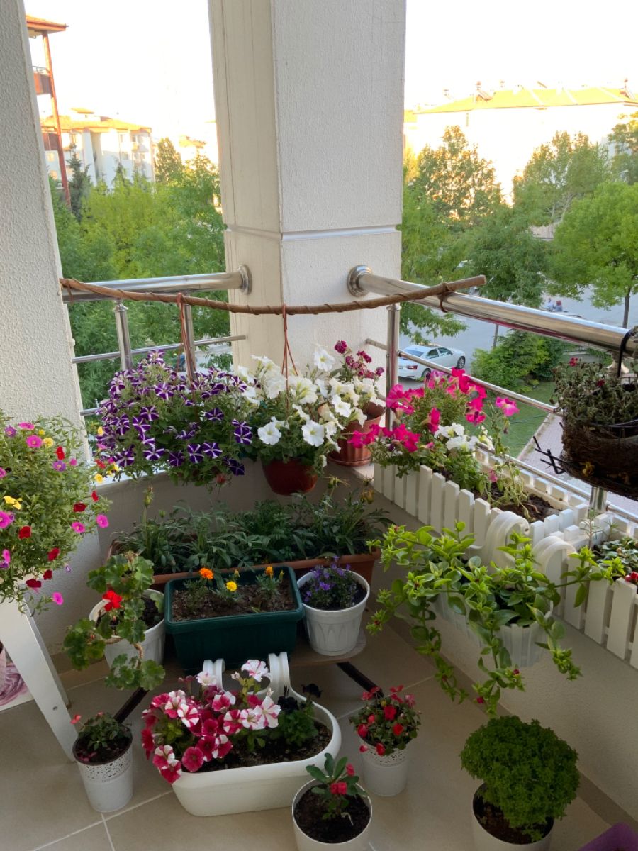 Apartment Balcony Plant Setup & Design in Chennai image 4