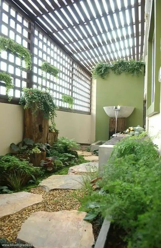 Chennai Indoor Plant Installation Service image 3