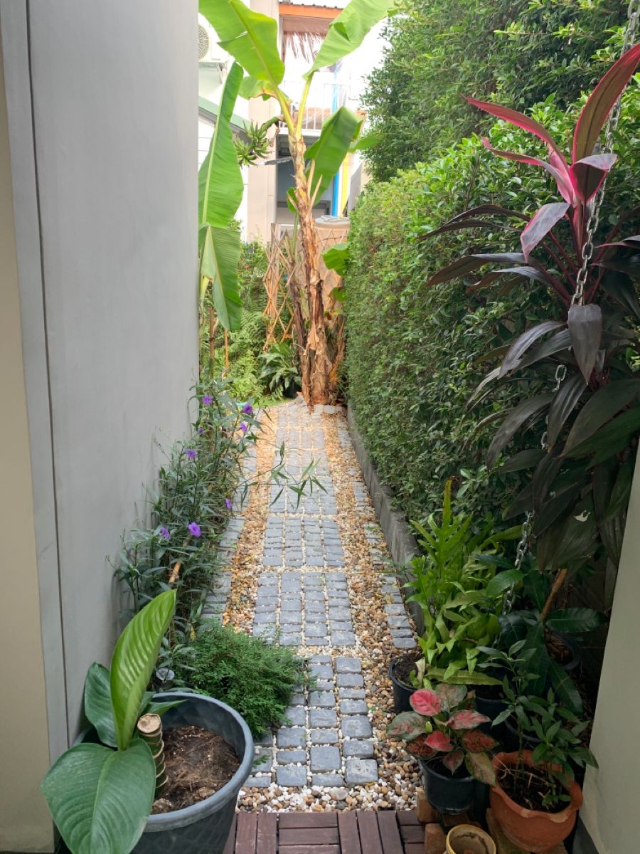 Backyard Landscaping Experts in Chennai image 5