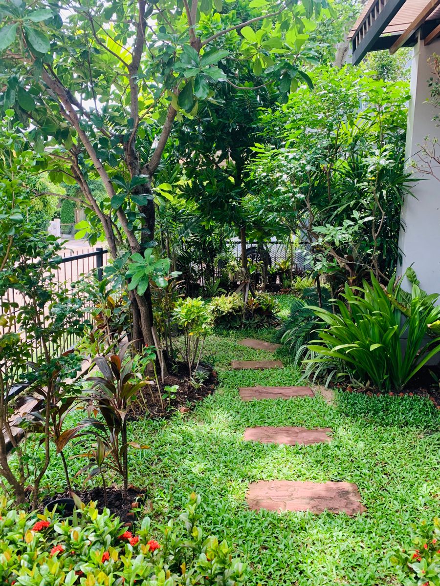 Professional Outdoor Gardening Experts Chennai image 4