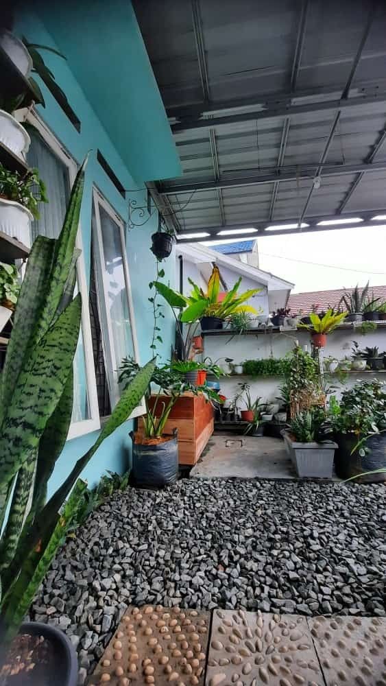Outdoor Plants & Garden Makeover Service Chennai image 4