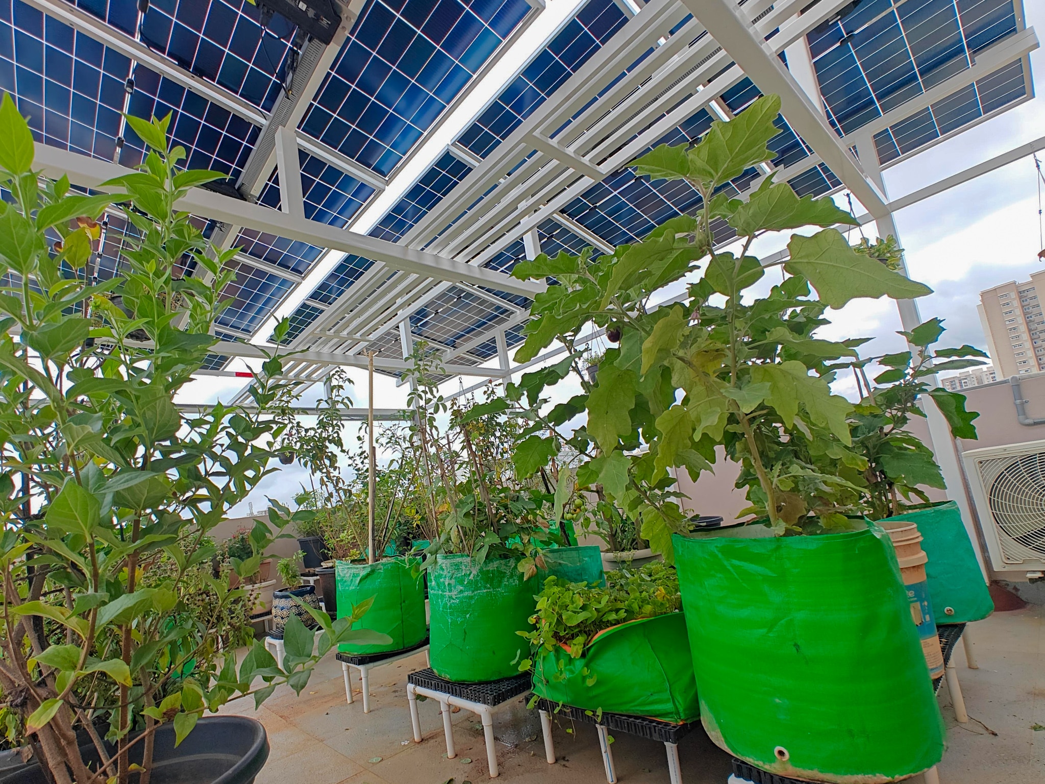 Agro-Voltaics or Agro-PV image 3