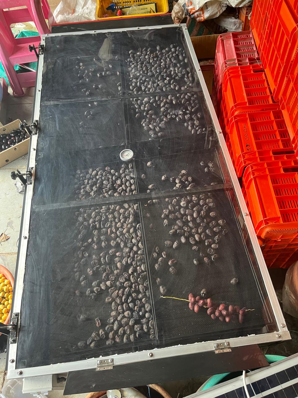 Solar Drying of Oilseeds image 7