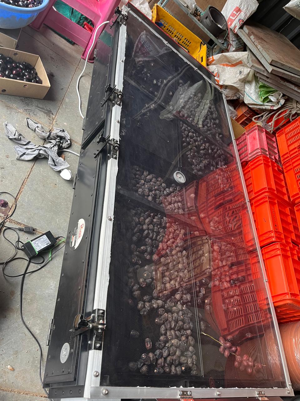 Solar Drying of Oilseeds image 6
