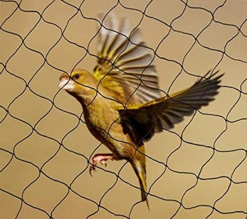 Anti Bird Net image 2