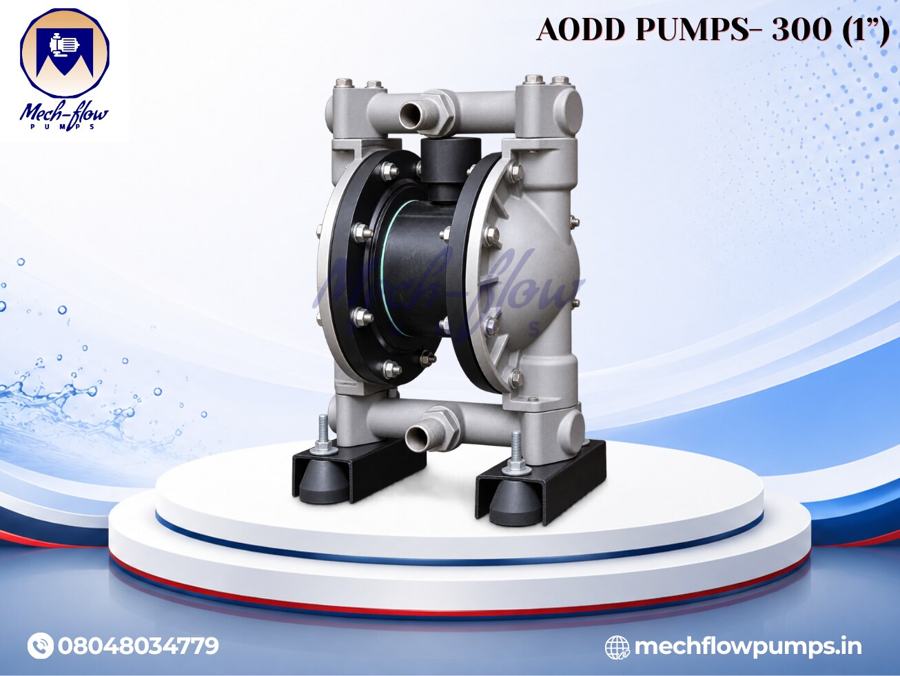 AODD PUMPS- 300 (1”) image 3