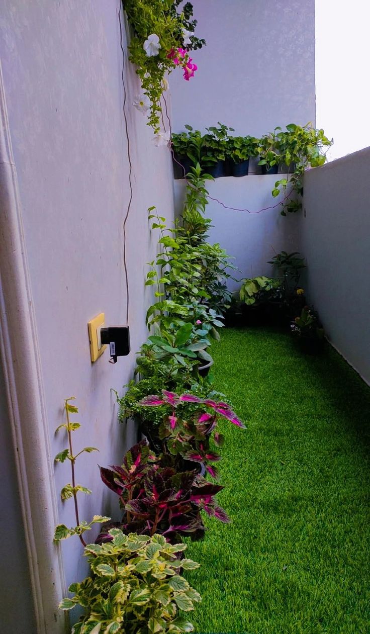 Backyard Landscaping for Villas in Chennai image 4