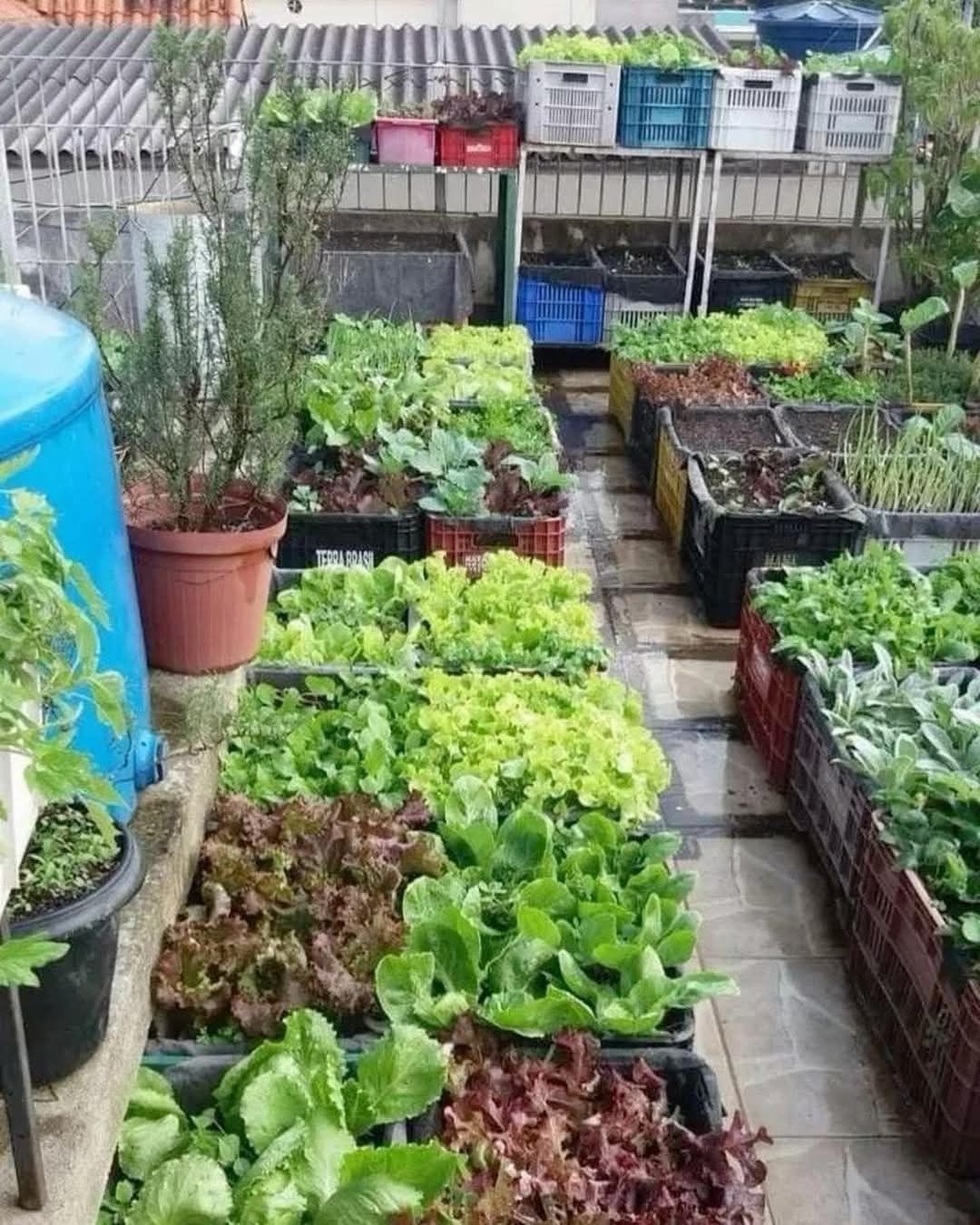 High-Quality Terrace Gardening Contractors in Chennai image 5