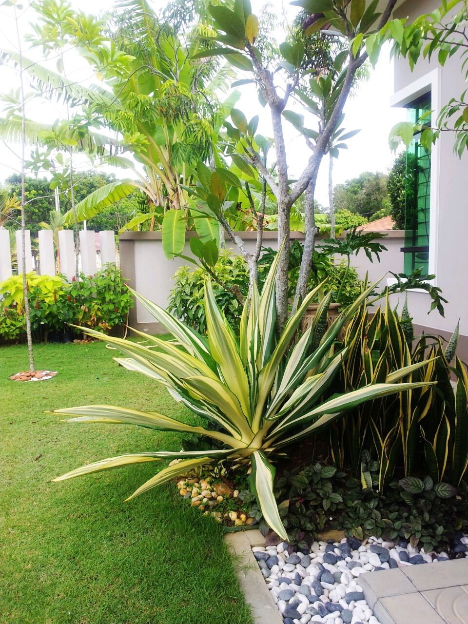 Frontyard Lawn Installation Service Chennai image 3