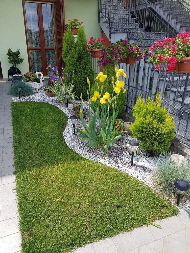 Creative Frontyard Garden Styling Chennai image 5