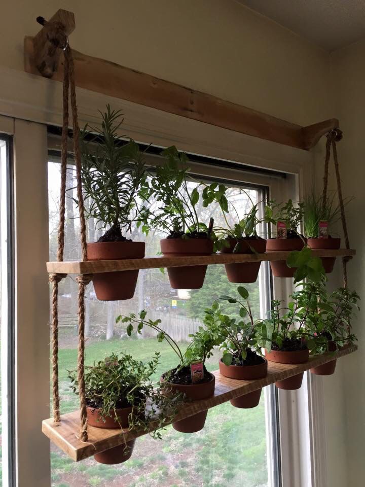 Indoor Garden Transformation Chennai image 5
